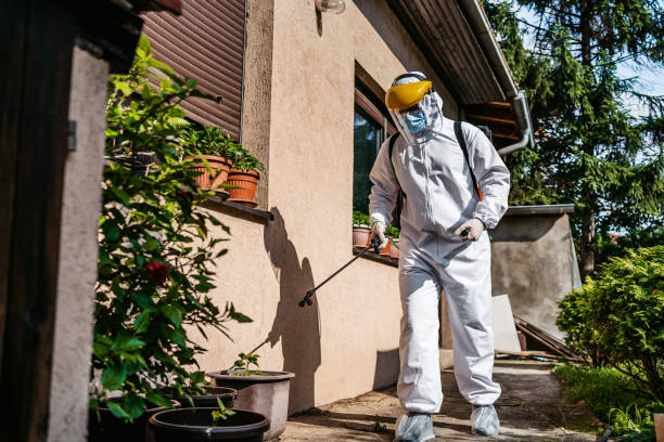 Best Flea Control Services  in Amelia Court House, VA