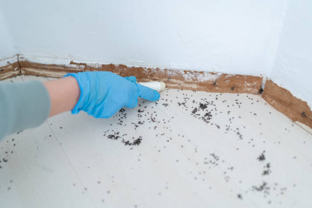 Best Pest Inspection Near Me  in Amelia Court House, VA